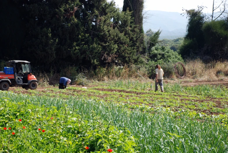 two men with farm machinery in the background