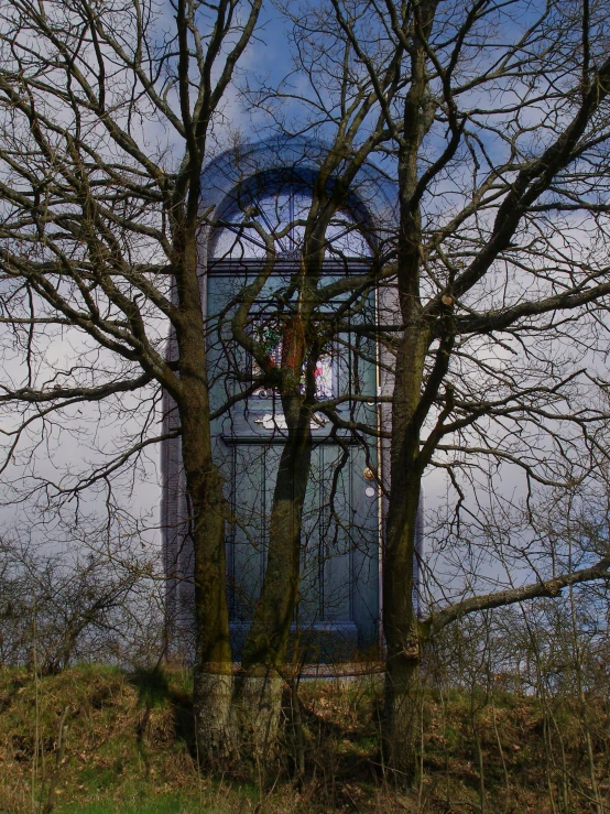 an image of a tree outside next to a building