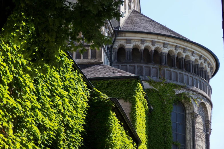 a tall building with a clock tower covered in ivy