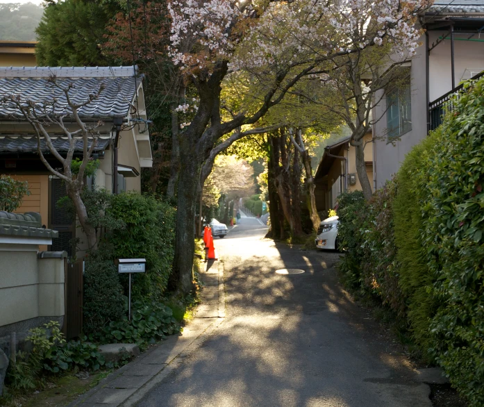 a woman walking on a street between houses