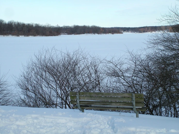 a bench in the snow near some trees