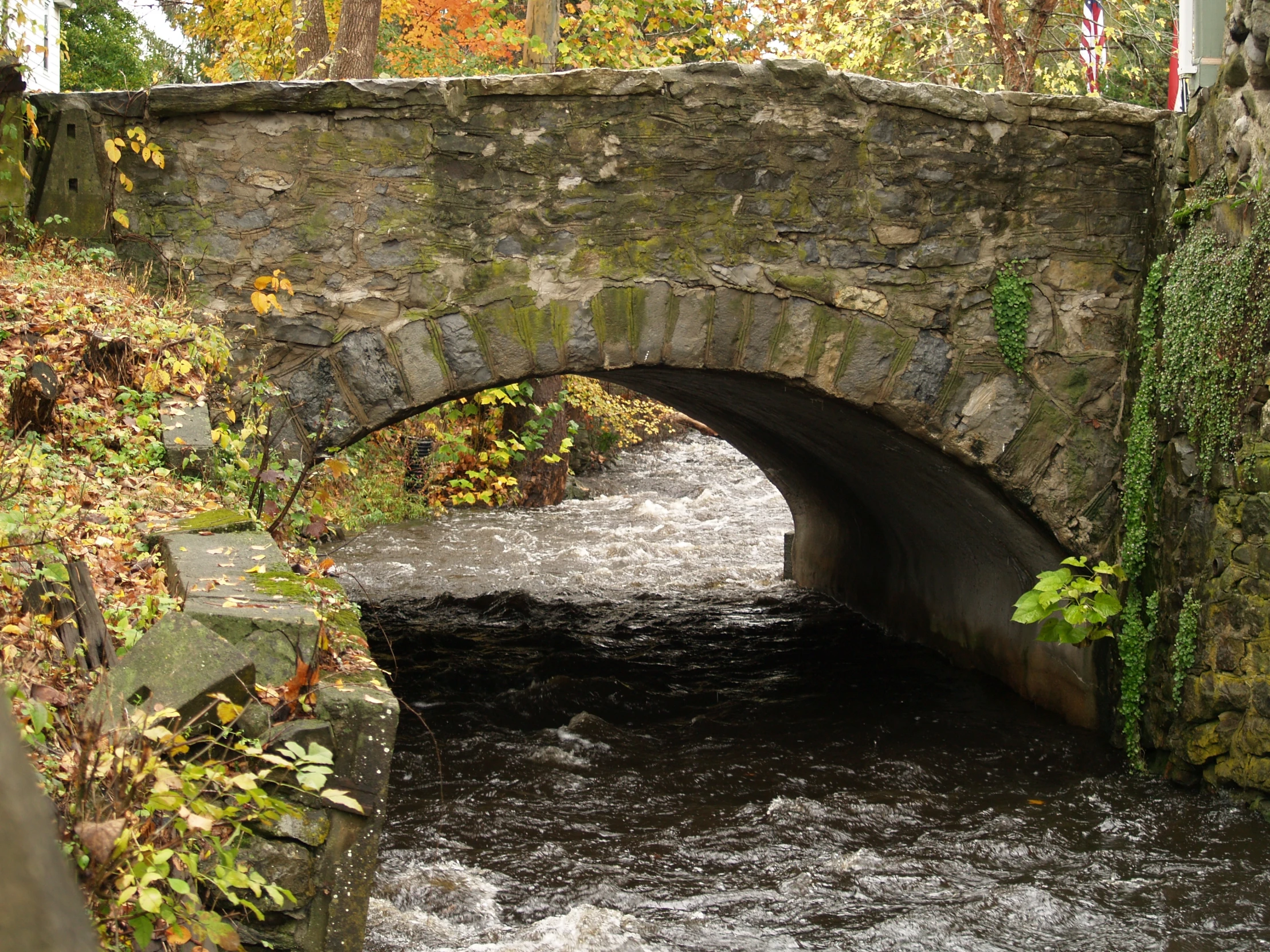 a small stone bridge over a river in the woods