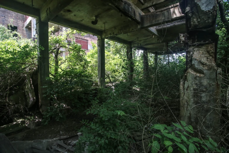 a dilapidated looking building with overgrown vegetation on the ground