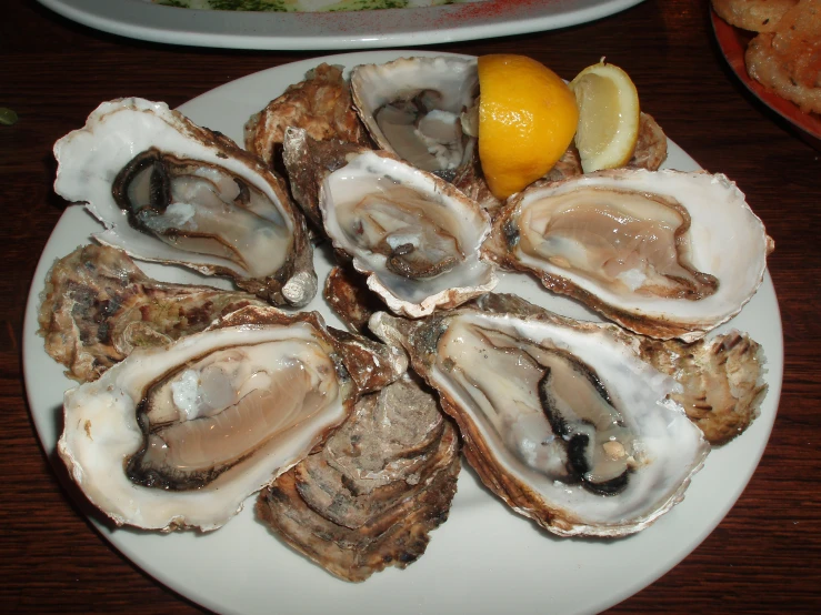 a white plate filled with oysters and a lemon