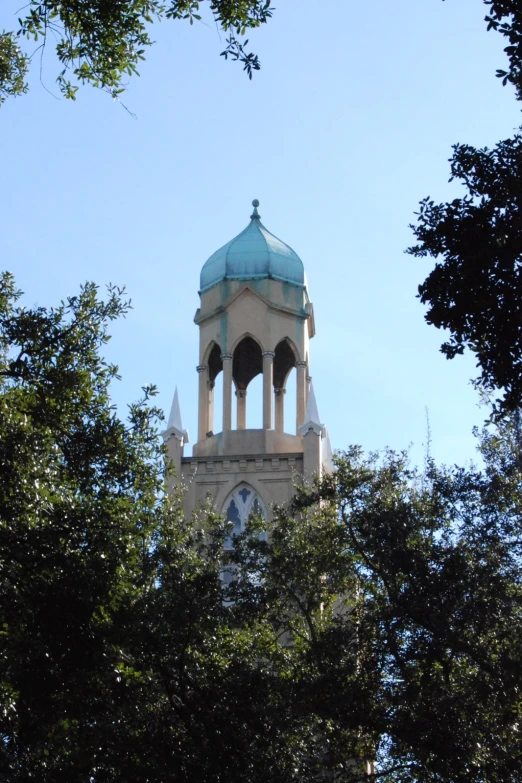 a clock tower rises above the trees on a sunny day