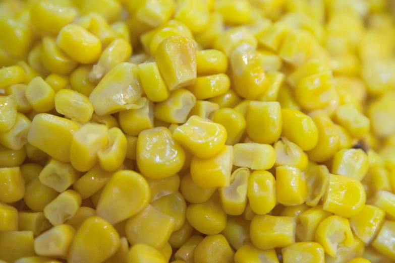 this corn looks delicious and yellow