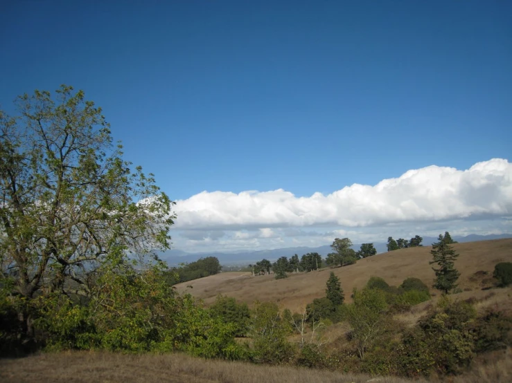 the sky is very bright and blue in this grassy valley