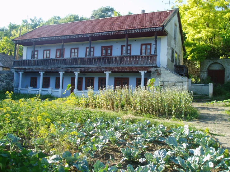 there are many flowers growing in front of a house