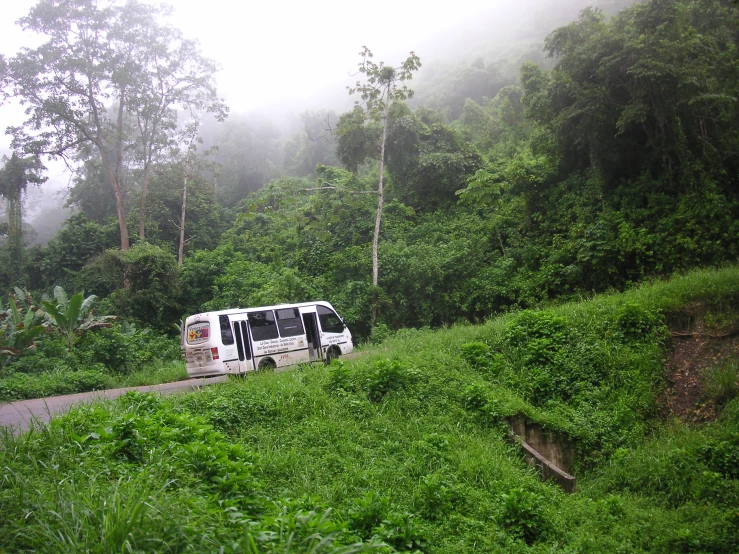 a white van is parked on the side of a road in the woods