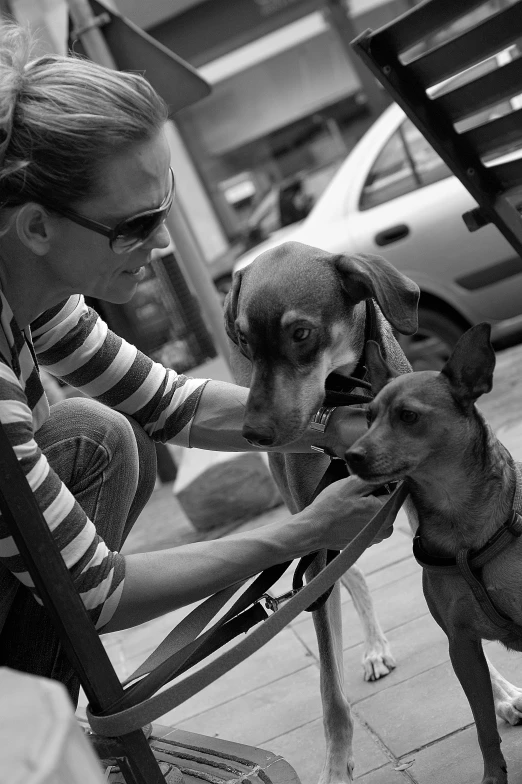 a woman in striped shirt petting a dog on the front lawn