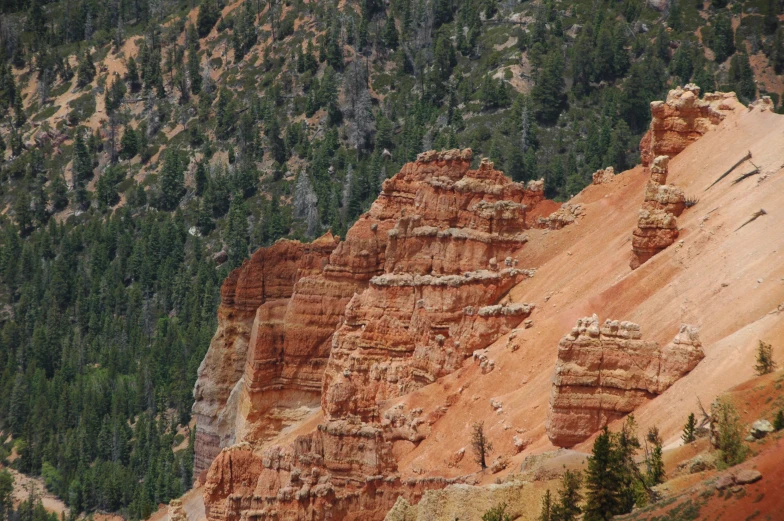 tall rock formations near evergreen trees in an alpine setting