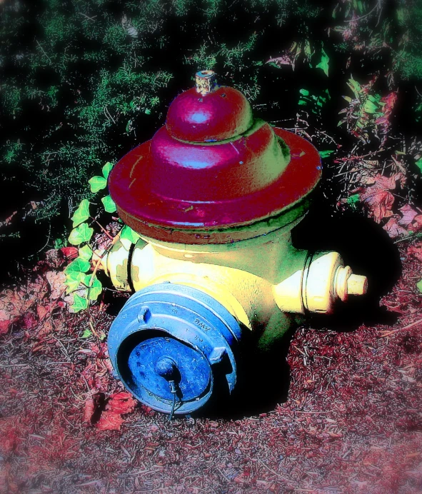 a yellow and red fire hydrant sitting on the grass