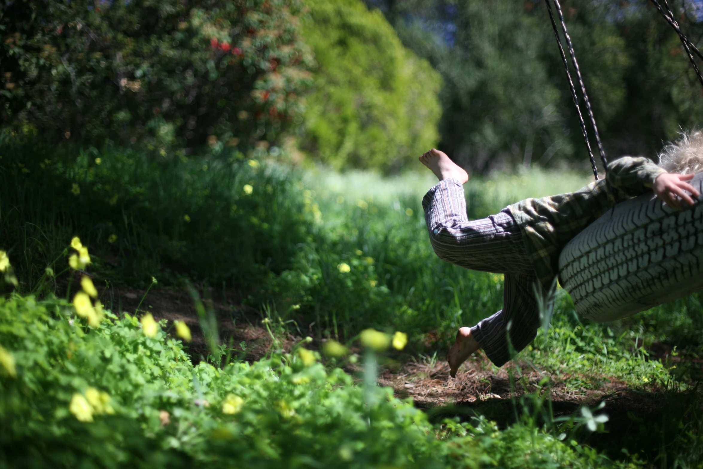 a woman hanging from a tire swing in the woods