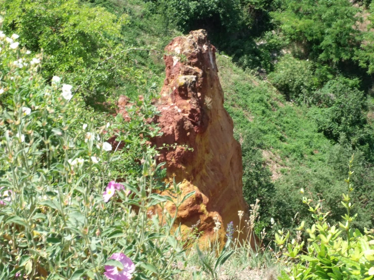 a stone wall partially covered in dirt sits between wildflowers