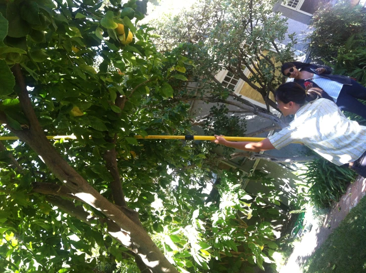 two boys are climbing up a tree while holding a pole