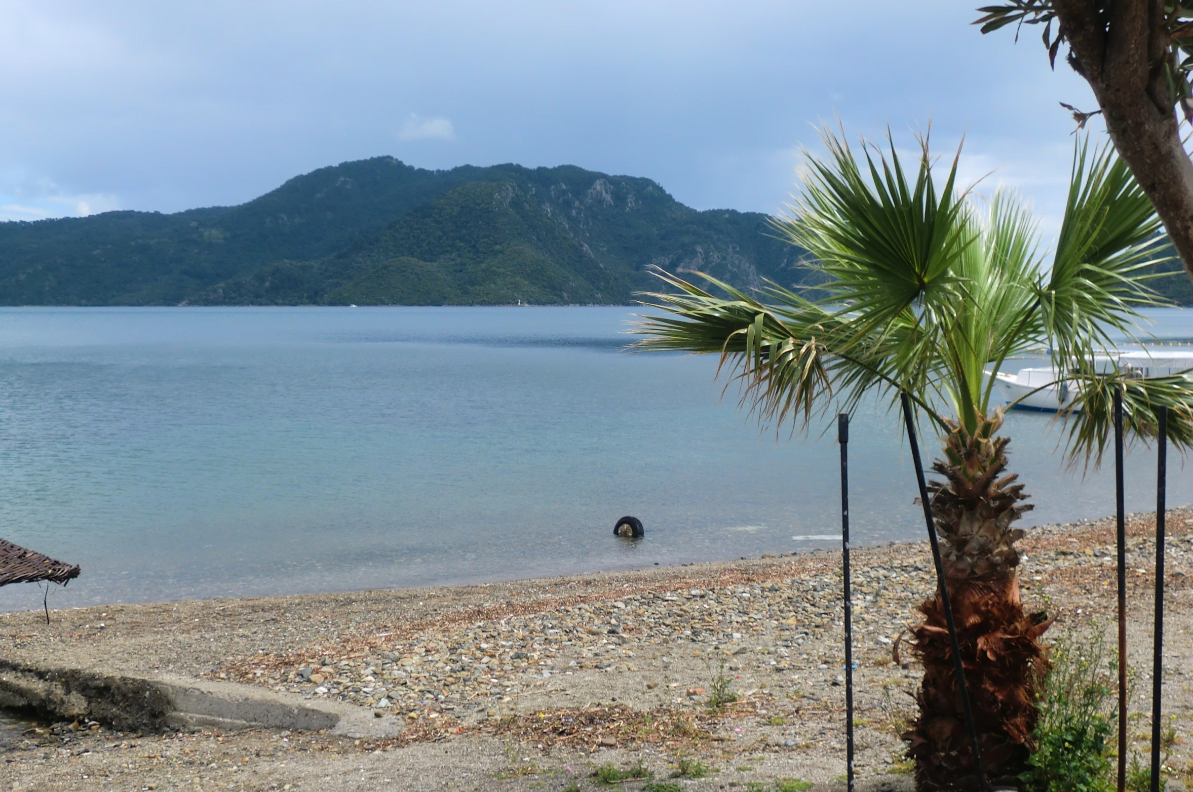 a man wading in water near a shore line