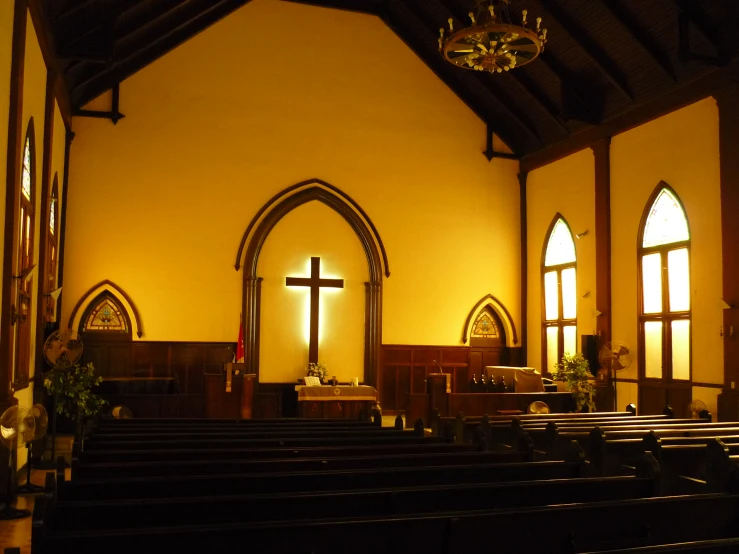 an empty church with rows of pews lit by the windows