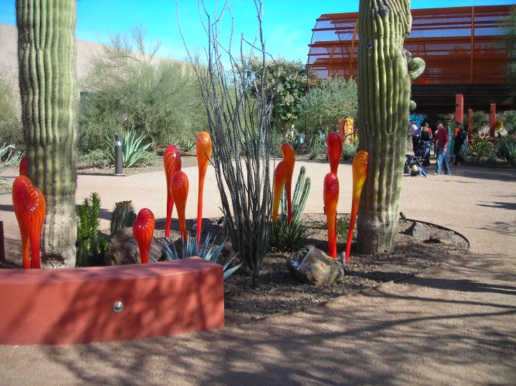 several red, transparent cactus sculptures in a desert landscape