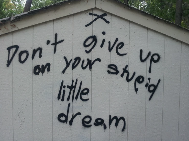 graffiti that reads'don't give up on your stupid little dream '