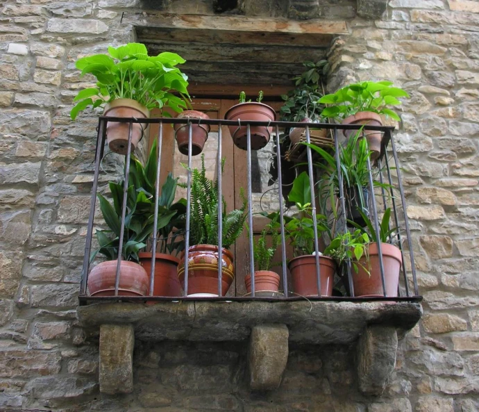 potted plants sitting in a windowsill on a house