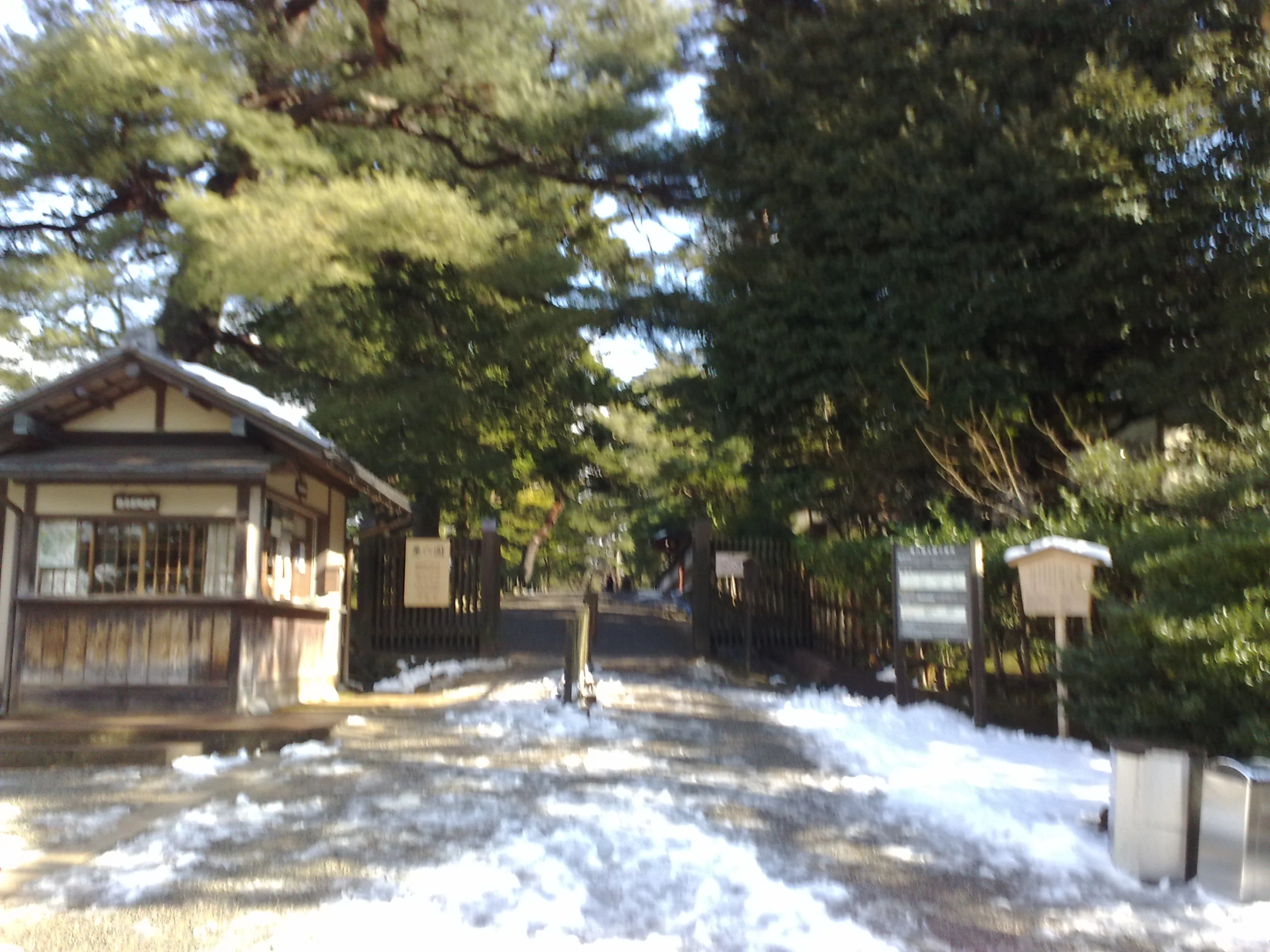 snow blankets the road next to a building