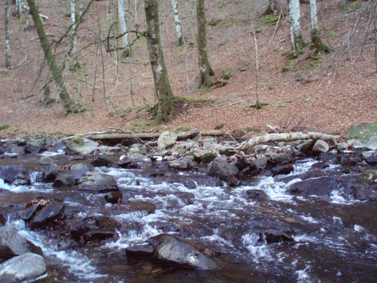 there are several rocks in the water by a stream