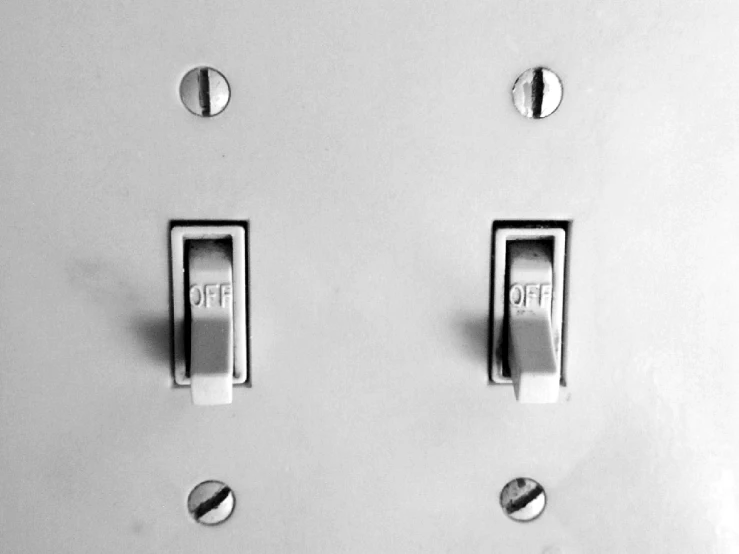 a closeup of two switchplates with a black and white po