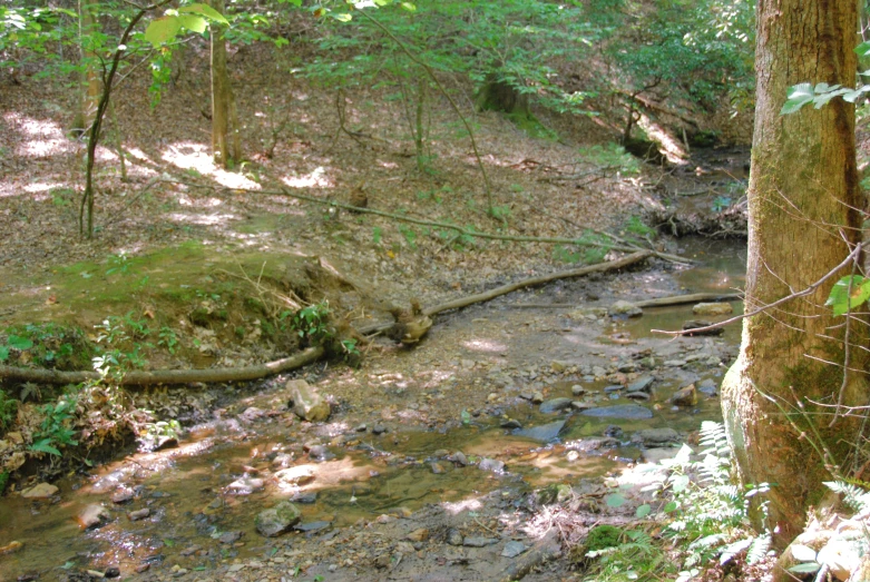 a creek is running down the dirt hillside