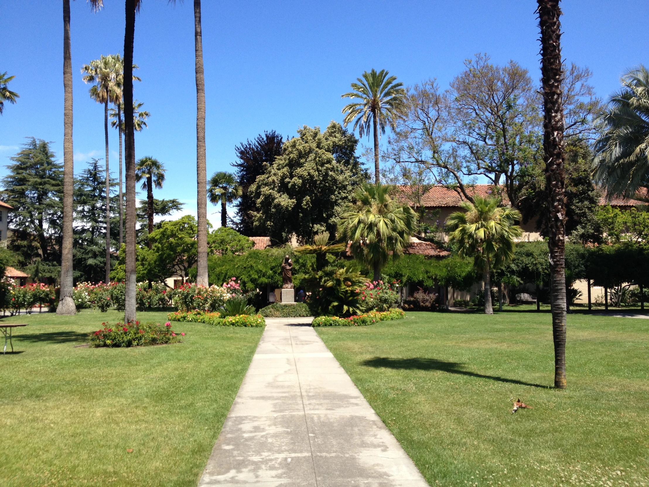 a view of a walkway surrounded by palm trees