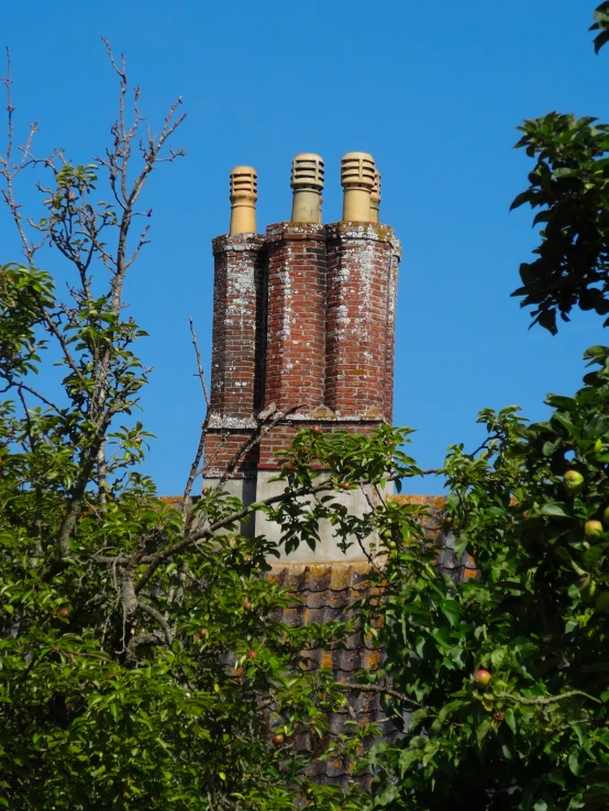 the chimneys on this building have yellow chimneys