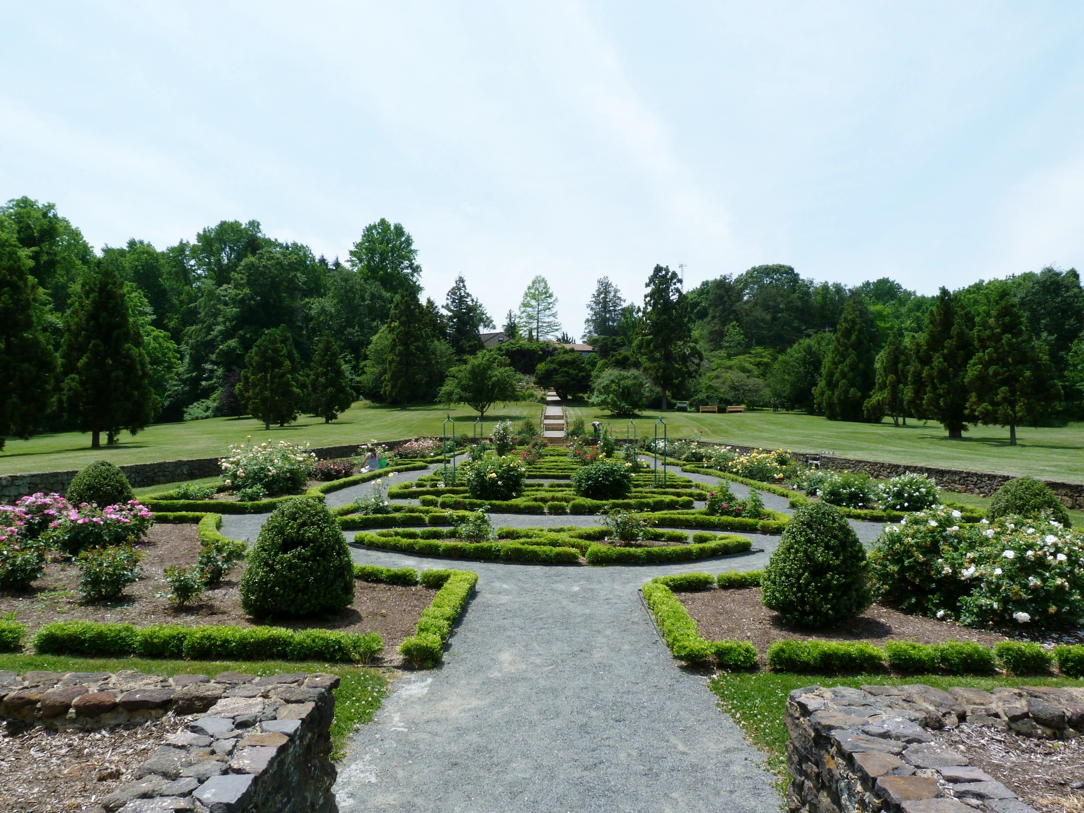 an overview of a garden area, with a lot of plants