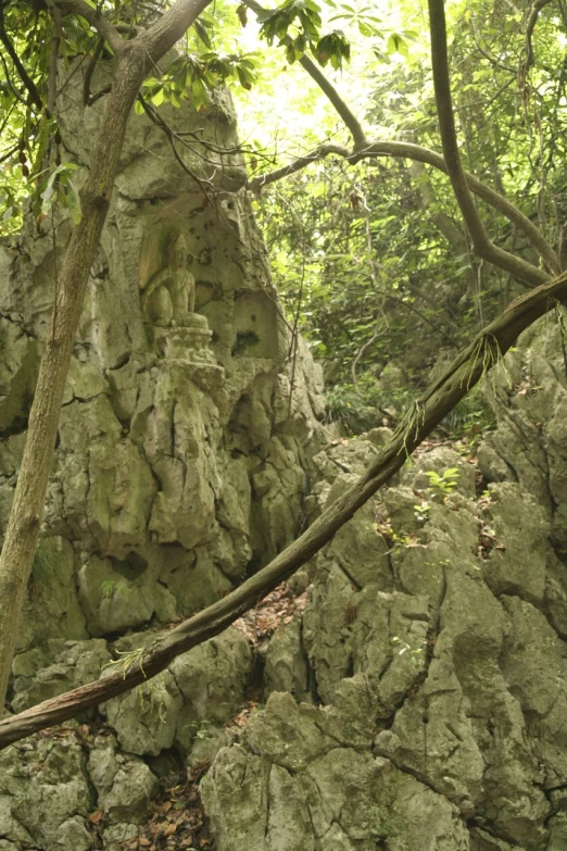 a rock formation in the middle of trees, with rock formations all around