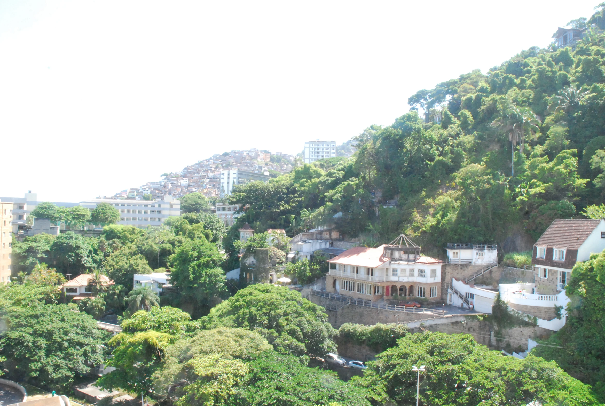 a house on a hillside has many trees