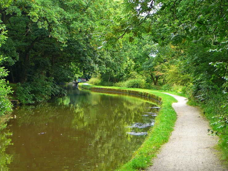 a path and pathway leading to a river