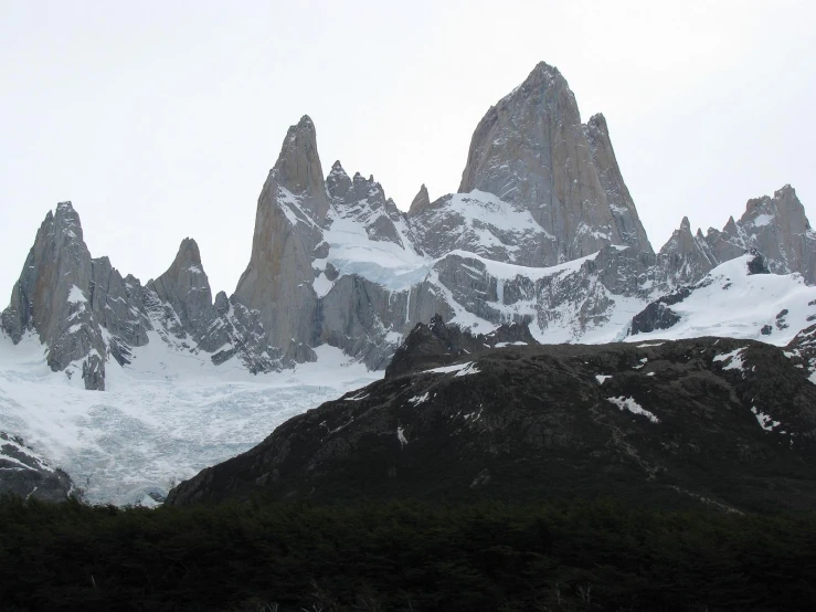 the snow capped mountains are covered by thick trees