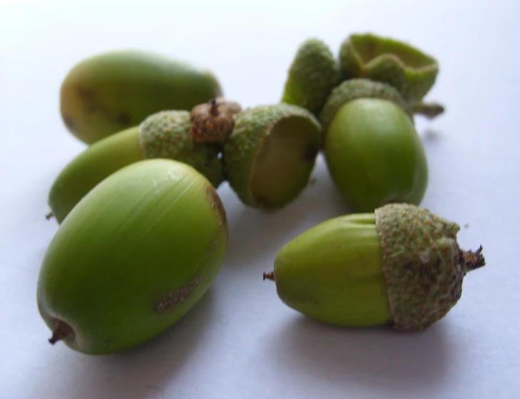 a bunch of nuts, on a table