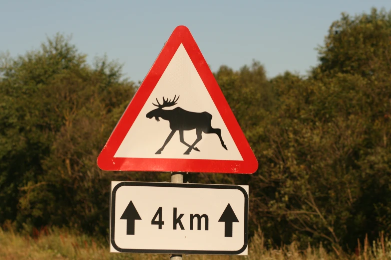 a sign warning about moose crossing on a road