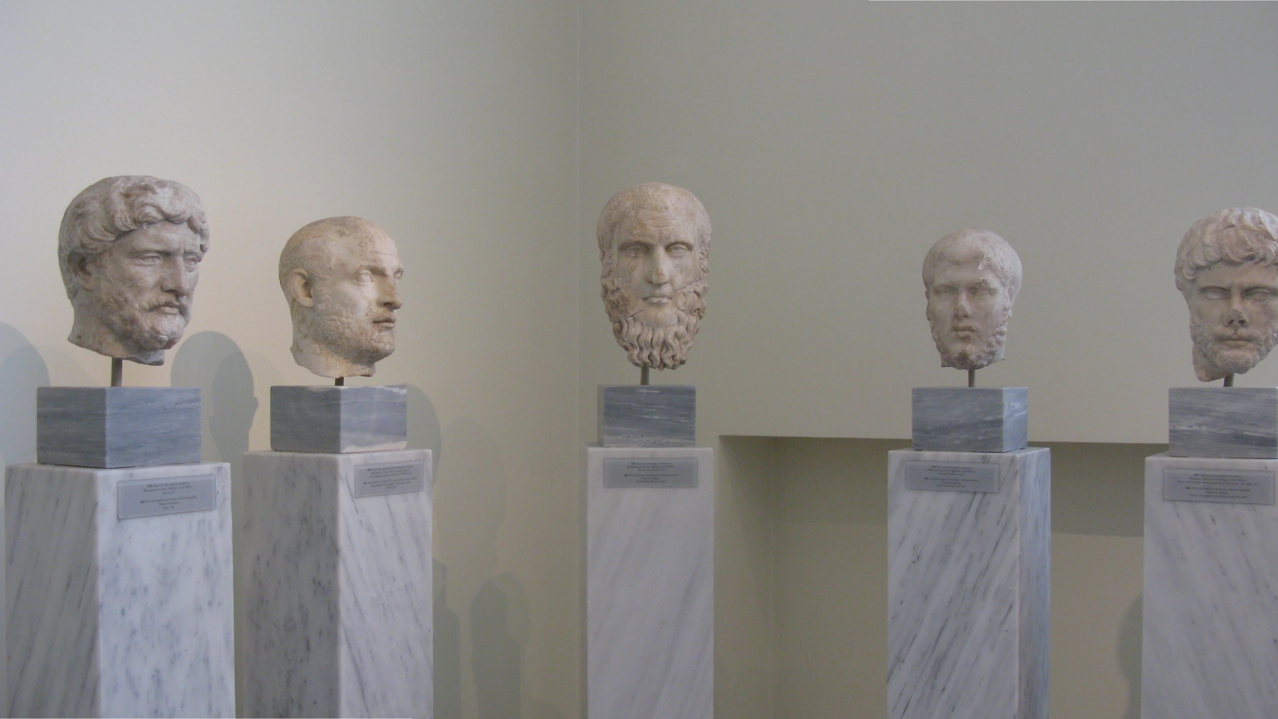 a bunch of different heads are on display