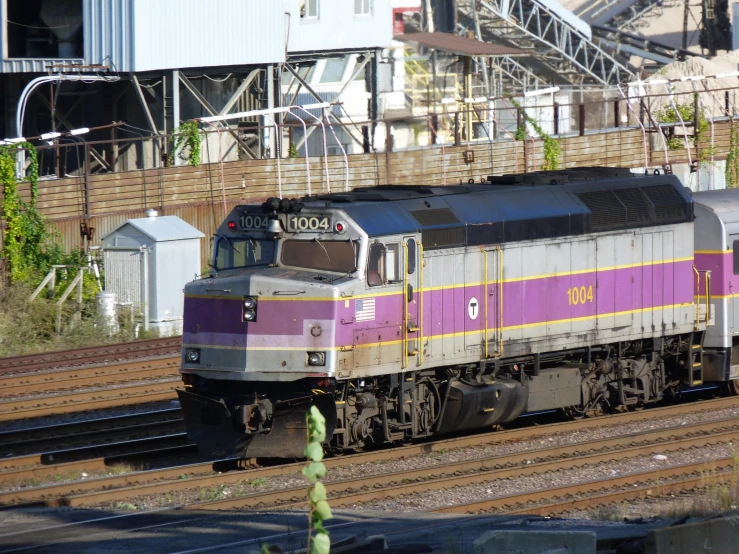 a passenger train passing under a bridge during the day