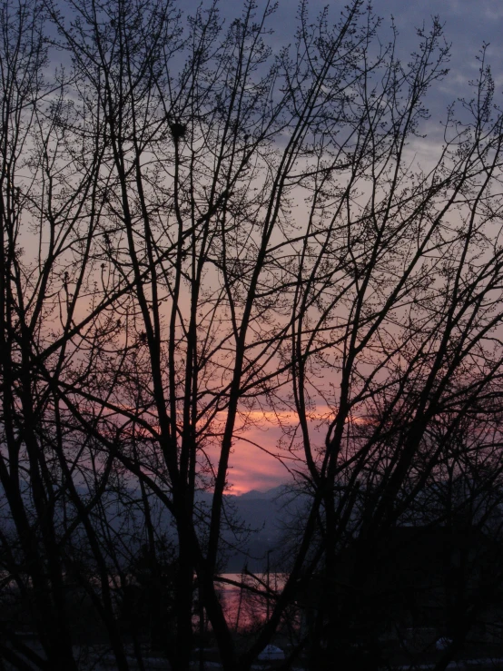 dusk over a body of water and a few trees