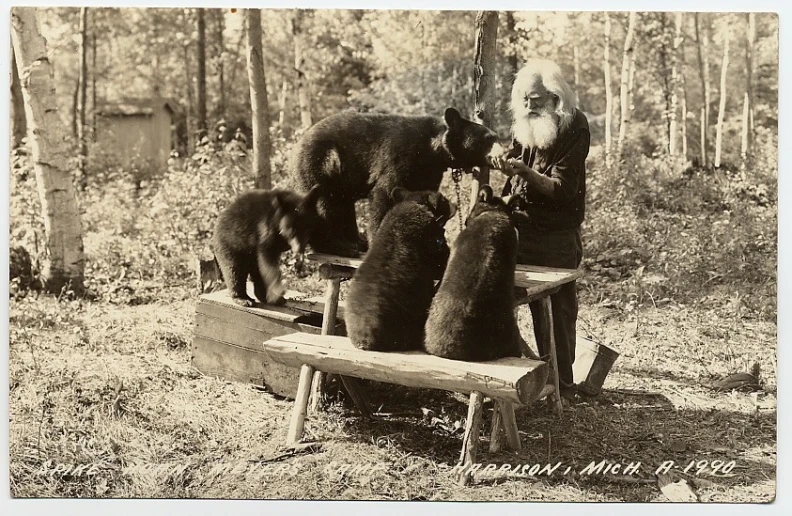 three bears are sitting on a bench with a man