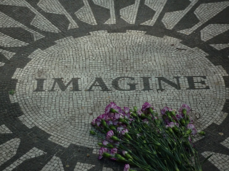 some flowers are lying on a pavement