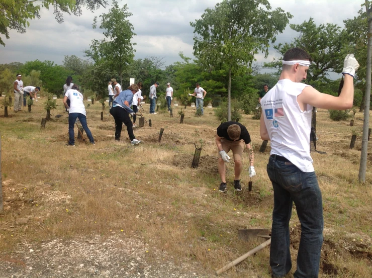 a group of people working in an orchard picking and planting trees