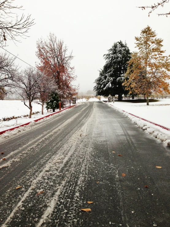 the road is lined with snow and trees