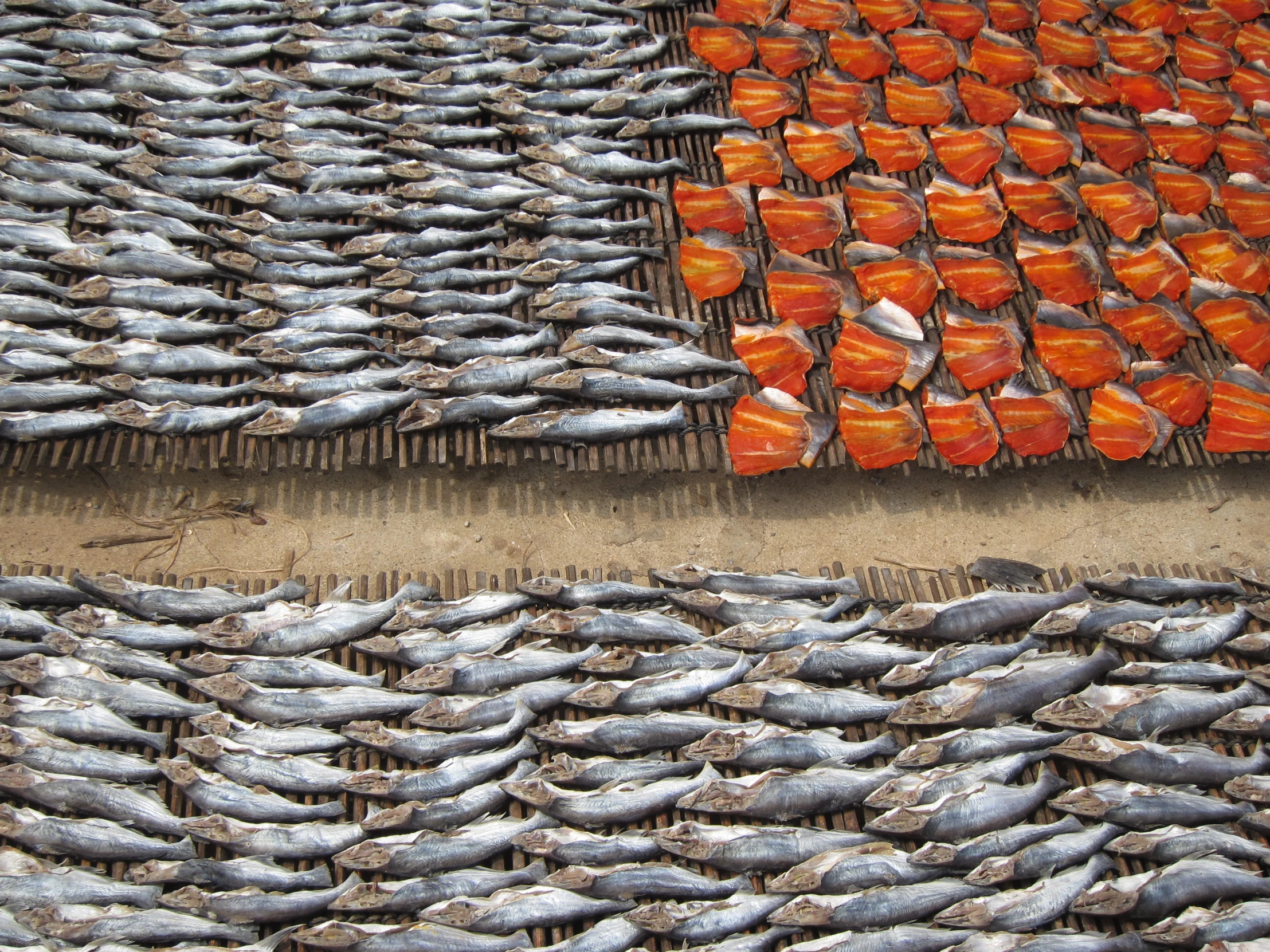 an image of large fish for sale in a seafood market