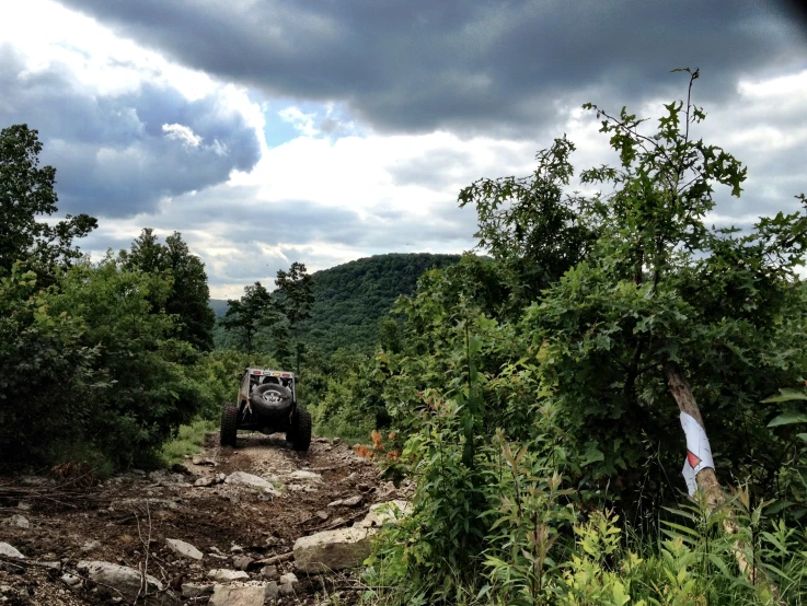 four - wheeler truck driving through a forested forest area