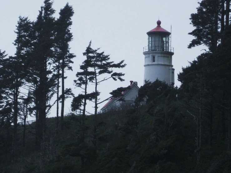 a white and red lighthouse on top of a hill