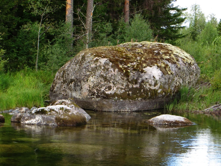 a large rock and moss on top of water