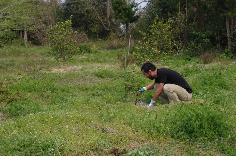 a man in the field kneels on the grass