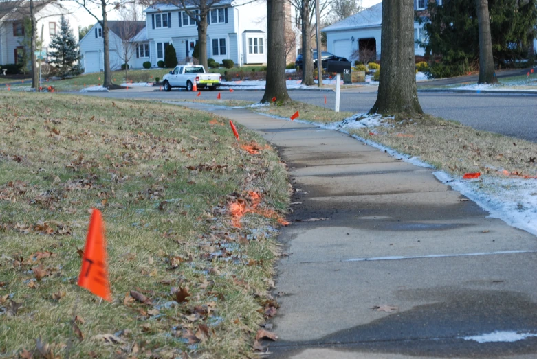 orange cones lined up in the grass near the sidewalk